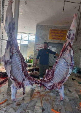گالری قصابی آقاسی