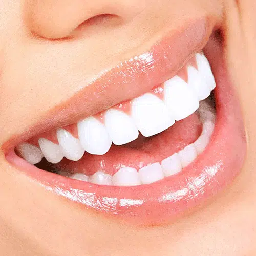 گالری لبخند زیبا