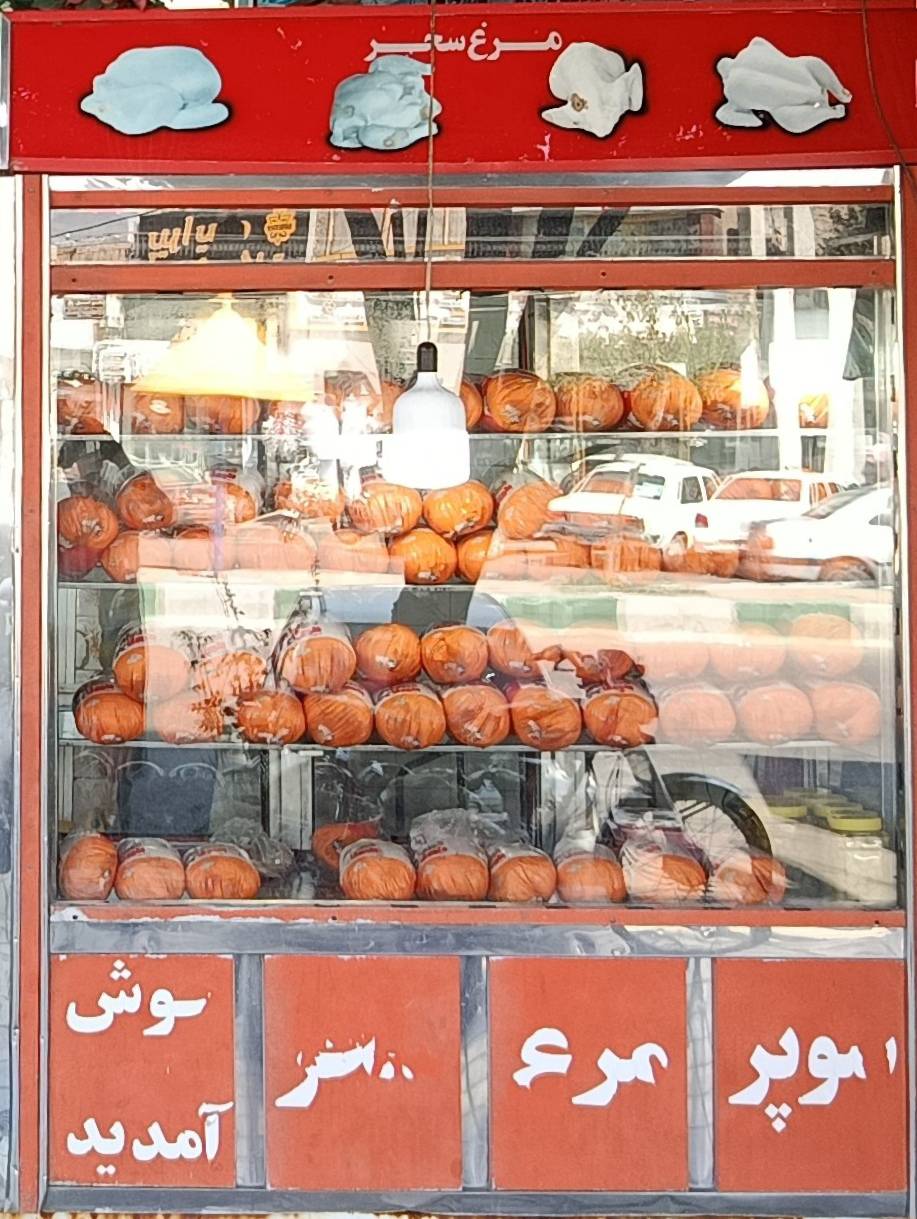 گالری مرغ فروشی سحر