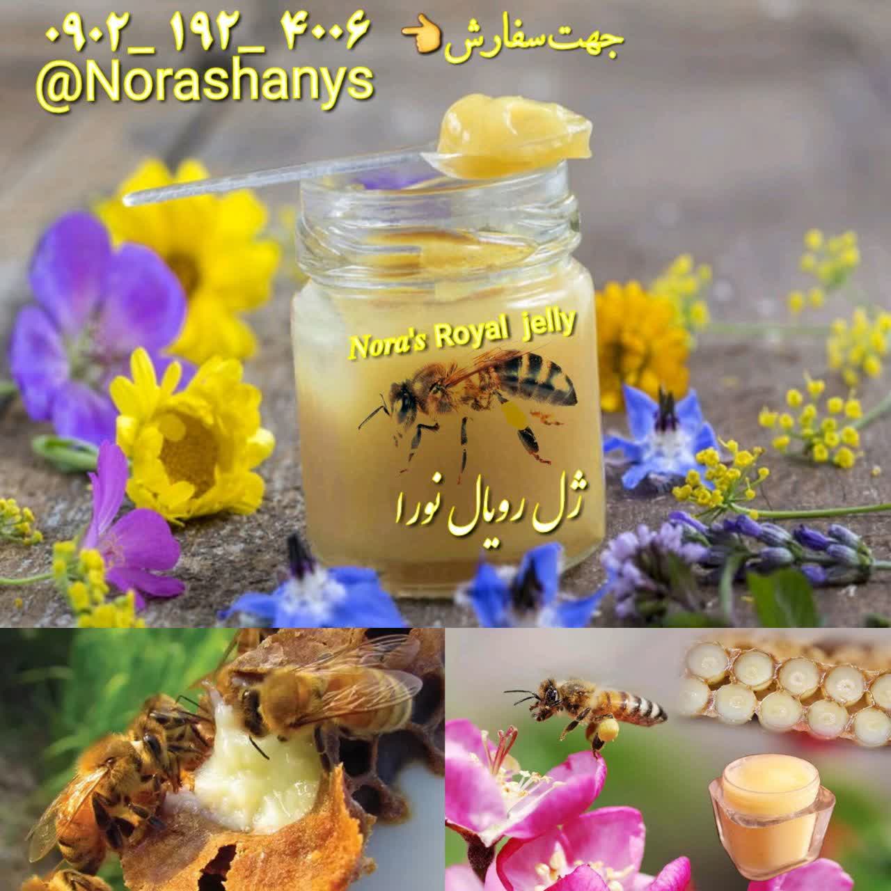 برداشت ژل رویال