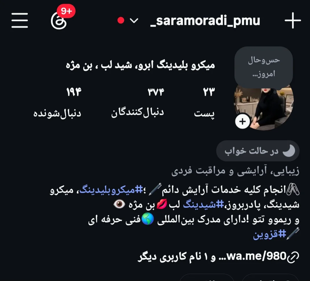ریموو تتو ابرو؛ شید