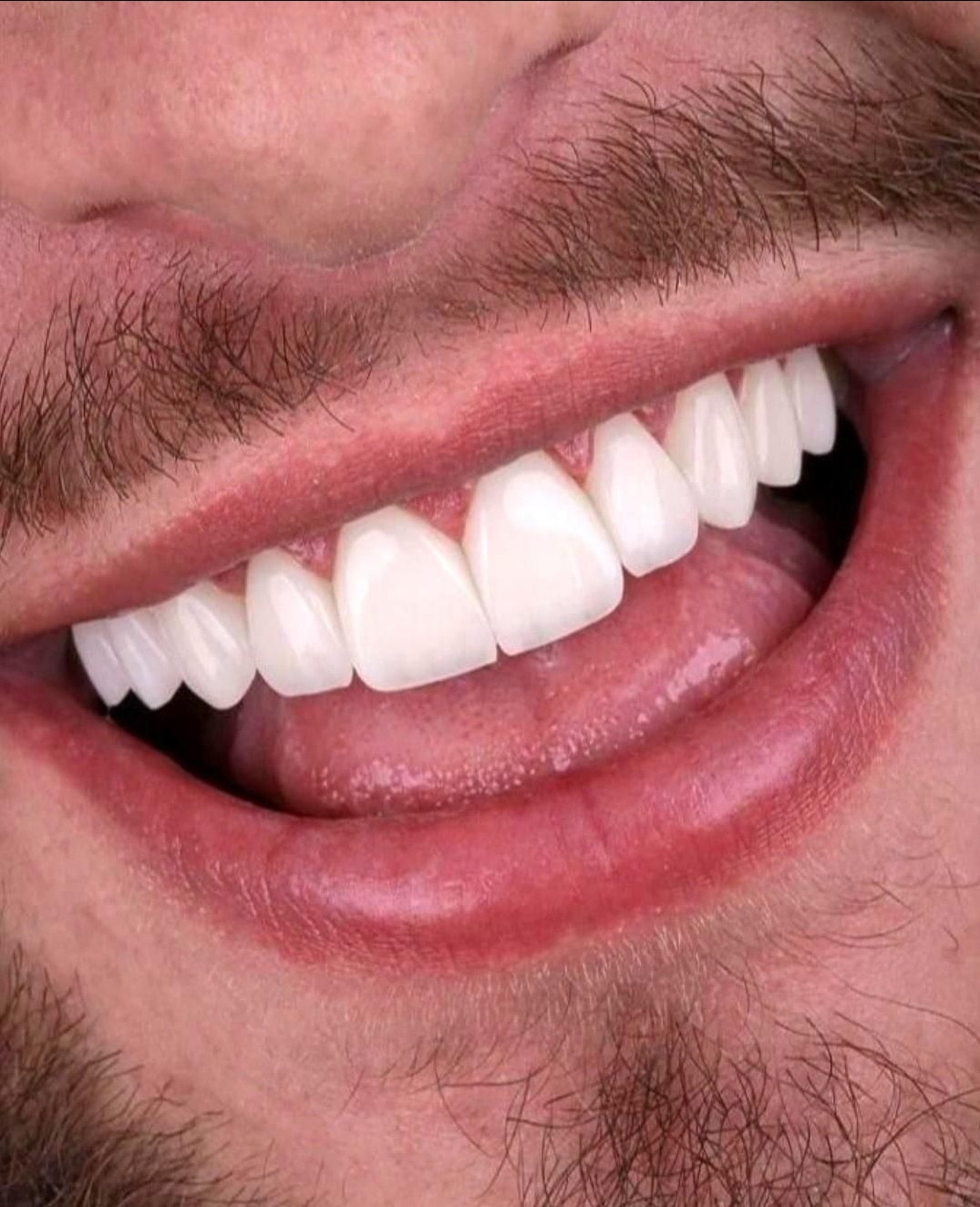 گالری دنتال شلبی
