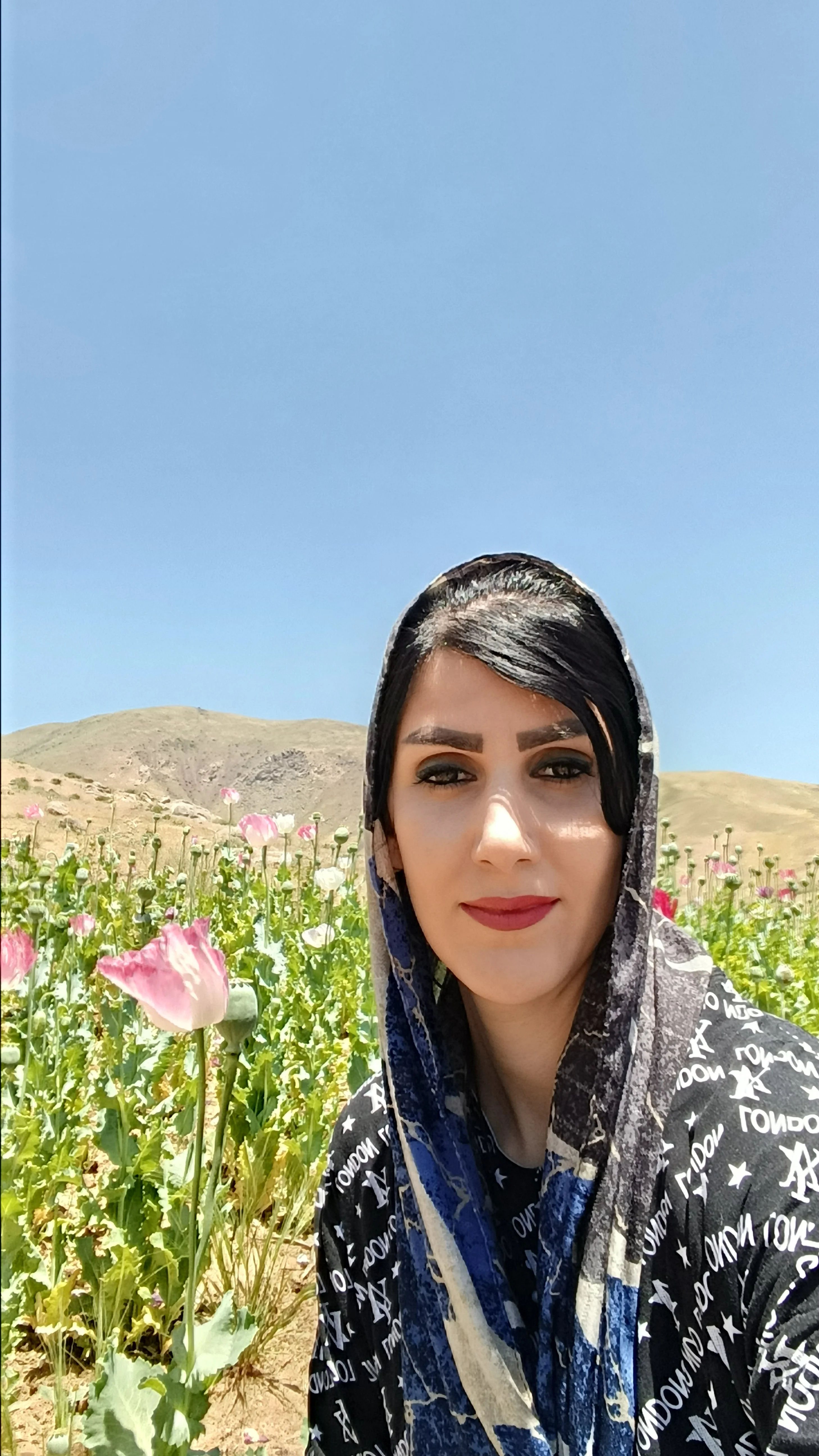لوگو نماینده و سرپرست رسمی نیکی ورک