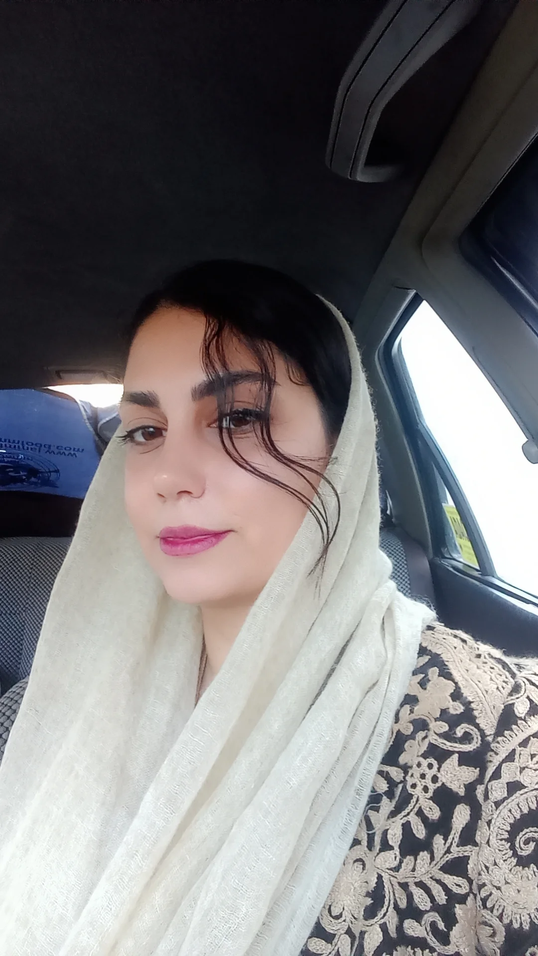 لوگو سیستم نیکی ورک
