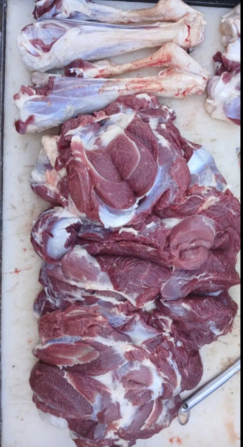 گالری قصابی بهمن