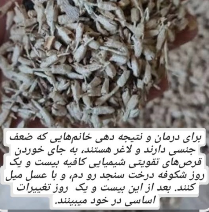 دمنوش ترکیبی الیانگو (شکوفه سنجد )