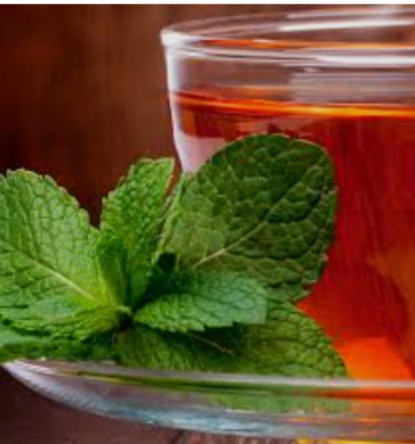 دمنوش های گیاهی